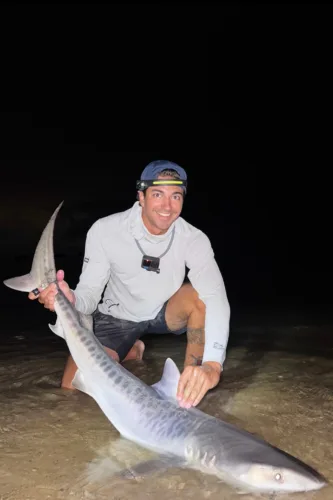 Cape Cod fishermen catch tropical shark
